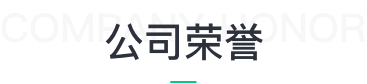 巴士资源官网正规渠道荣誉