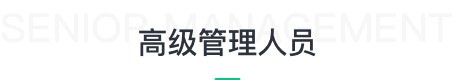 品牌发展历程